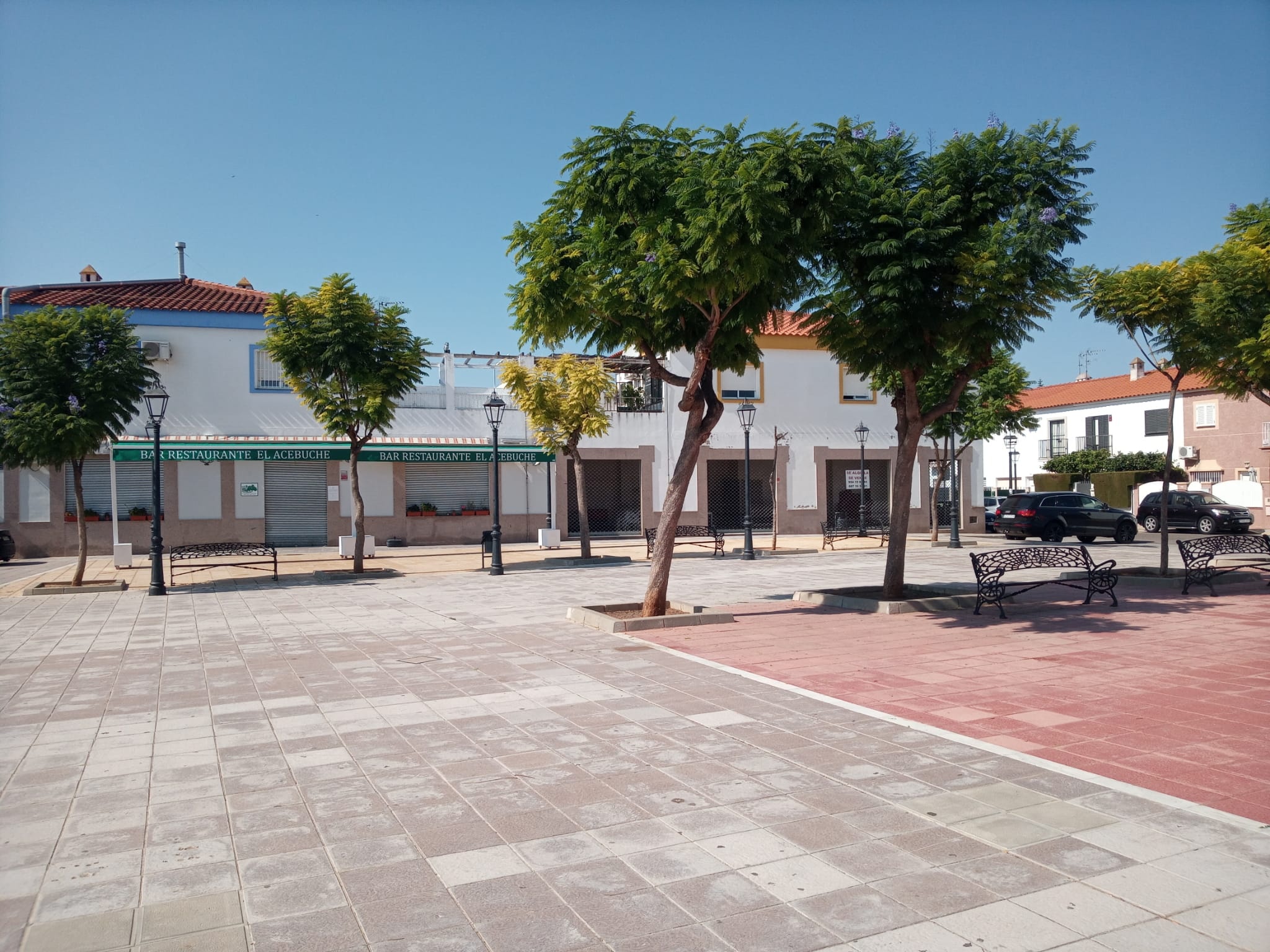 EL MANTENIMIENTO DE ZONAS VERDES SIGUE AVANZANDO