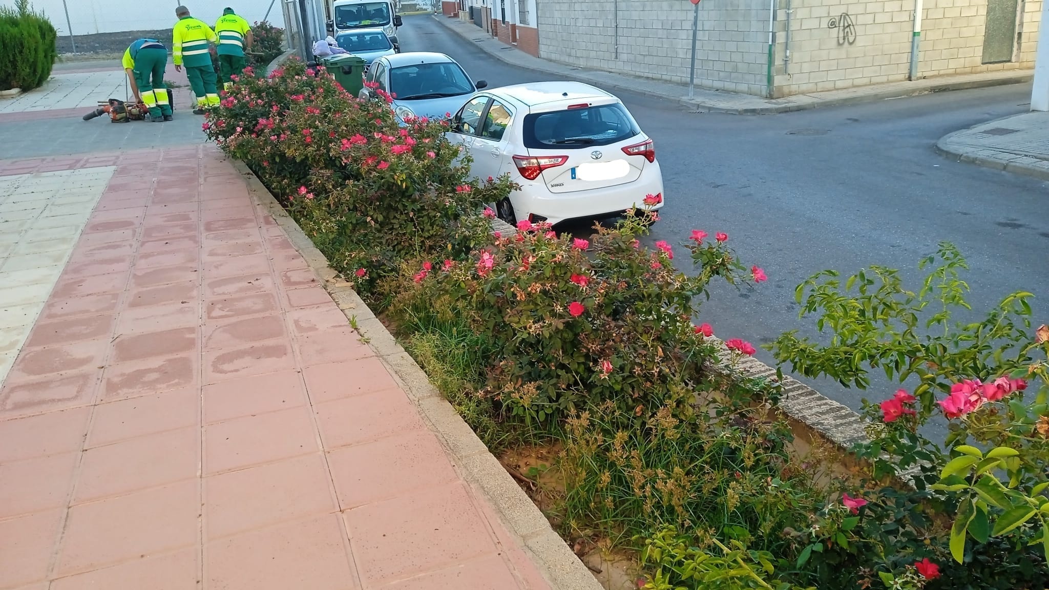 SEGUIMOS TRABAJANDO EN EL MANTENIMIENTO DE ZONAS VERDES