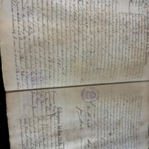 d23a491d-0152-436e-b9d5-cfd52165502b